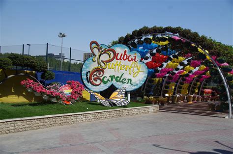 Dubai Butterfly Garden Desert Wings