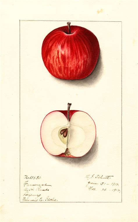 Print Of Apples Fameuse 1912 Poster On Vintage Visualizations