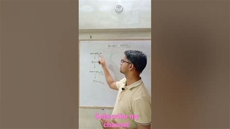 Gamitophytes And Sporophytes Viral Shorts Untold Biology Youtube