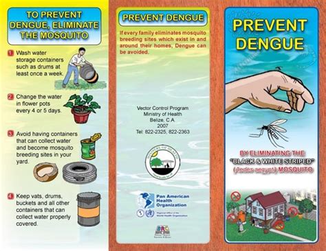 Ministry of Health monitoring dengue cases - Belize News and Opinion on ...