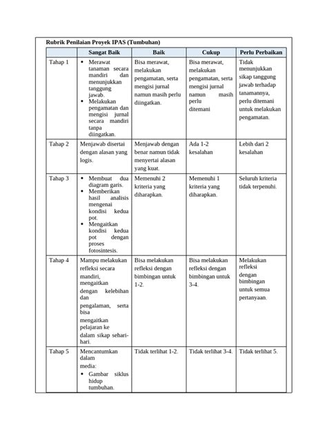Rubrik Penilaian Proyek Ipas Pdf