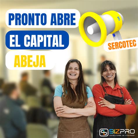 El Programa De Capital Abeja Fomentando El Emprendimiento Y La