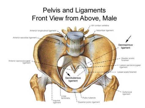 Sacroiliac Joint fusion | PPTX