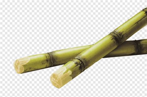 Green Bamboo Sugar Sticks Sugarcane Juice Saccharum Officinarum