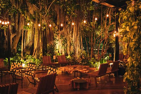 Restaurante Natural Perto De Mim - Um guia de restaurantes que interagem com a natureza para aproveitar ...