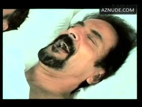 BRINKE STEVENS Nude AZNude