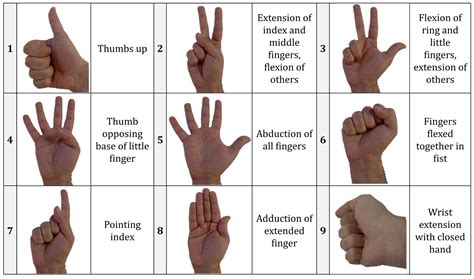 Hand Symbols And Their Meanings