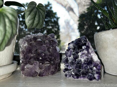 Alignwithjuniper Junipershrub Nude OnlyFans Page 2 The Fappening Plus