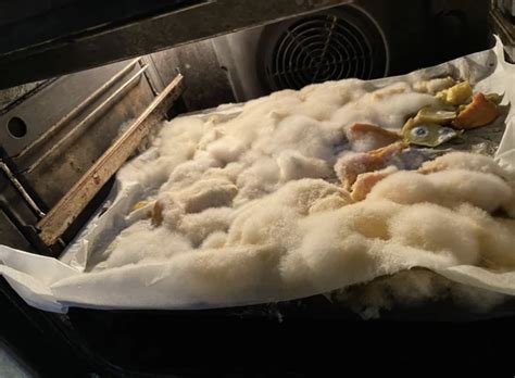 Terrifying Mold Monsters Taking Over Your Moist Spaces | eBaum's World