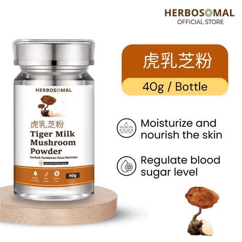 Herbosomal Tiger Milk Mushroom Powder 40g 珍品原色虎乳粉 Cendawan Susu