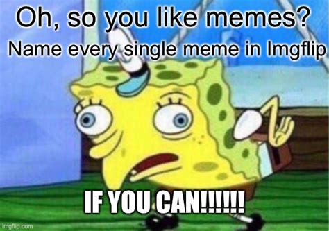 Oh So You Like Memes Imgflip