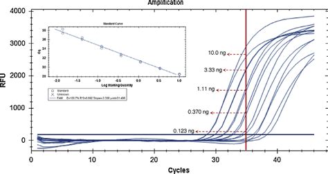 Real Time Pcr Amplification Curves And Respective Calibration Curve