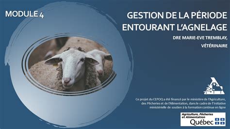 Formation En Sant Ovine Gestion De La P Riode Entourant Lagnelage