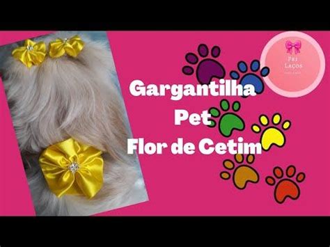 Gargantilha Pet La O Flor Em Cetim Passo A Passo Youtube