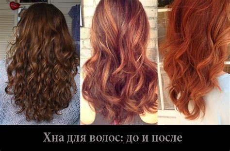 Индийская хна для волос: оттенки, фото до и после (27 фото) Для Роста Волос