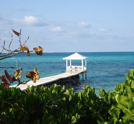 services products idm