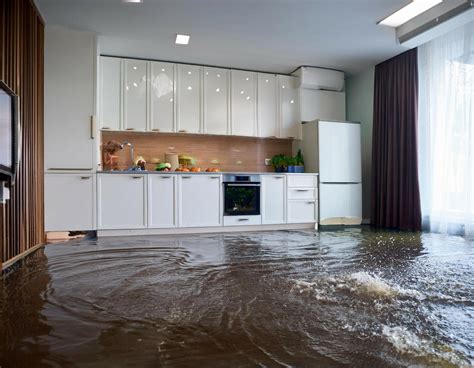 choose emergency water extraction services immaculate restoration