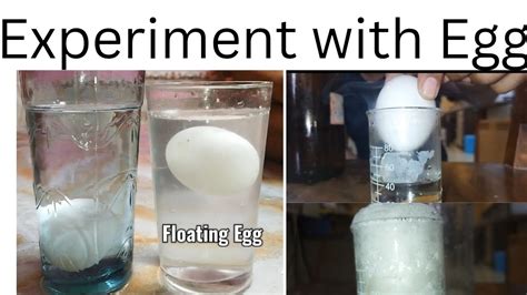 Experiment With Eggs Science Experiment At Home Reaction Of Egg With Hcl Experiment