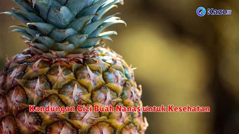 10 Manfaat Buah Nanas Untuk Kesehatan Yang Menakjubkan Life Style