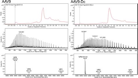 Fast And High Throughput Lc Ms Characterization And Peptide Mapping Of