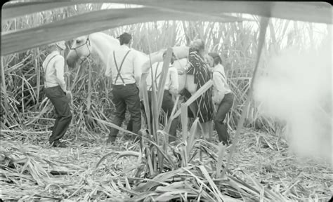 Nude Video Celebs Actress Diane Rouxel