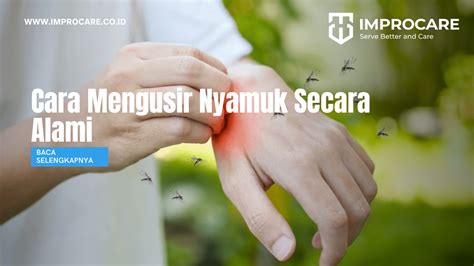 Bagaimana Cara Mengusir Nyamuk Secara Alami PT Mahaka Improcare