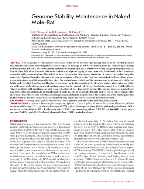 PDF Genome Stability Maintenance In Naked Mole Rat