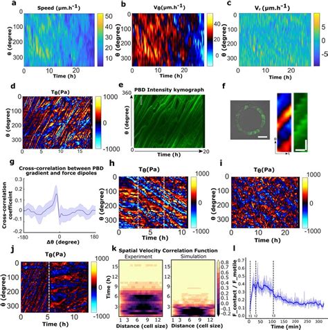 Spatio Temporal Distribution Of Velocities And Forces Under Various