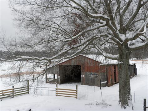 A Meek Perspective: Alabama Snow