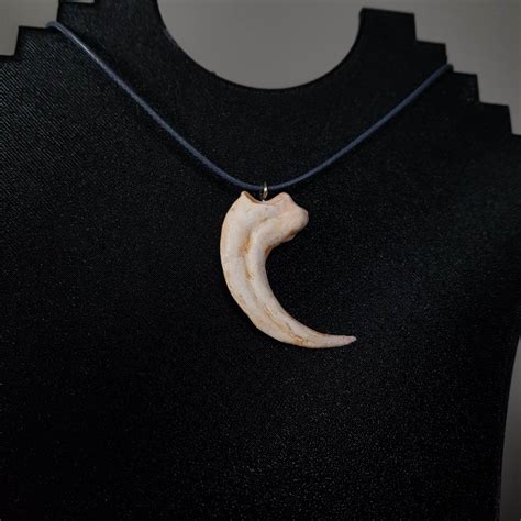 Velociraptor Claw Necklace Dinosaur Jewellery Dinosaur Claw Raptor Claw Etsy