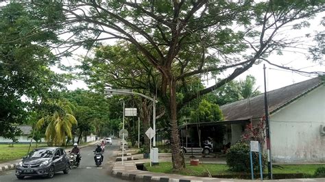 Beranda Website Kehati Ru Iii Plaju