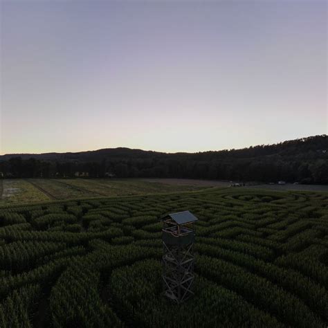 Mazezilla Corn Maze - Pumpkin Patch Near Me