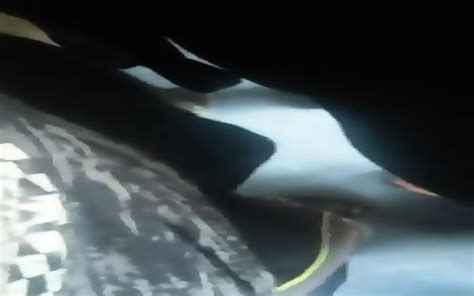 Supporting MILF In Bus Red XXX