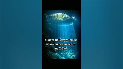 патамучта понабирают всяких далбаебов - YouTube