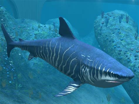 Image - Megalodon-30.jpg | Jurassic Park wiki | FANDOM powered by Wikia