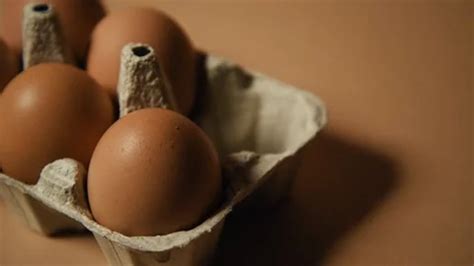 Eggs In A Tray On A Nude Brown Backgroun Stock Video Pond