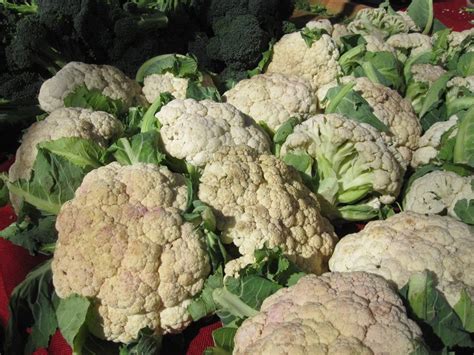 Bartering Is A Farmers Market Tradition Campbell Ca Patch