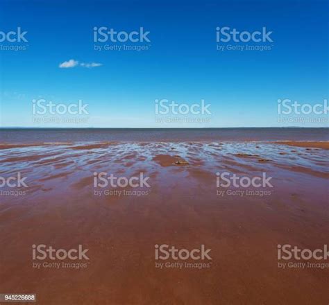 Pantai Bay Of Fundy Foto Stok Unduh Gambar Sekarang Air Surut Alam