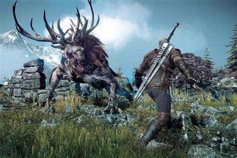 The Witcher 3 Velen Secondary Quests Contracts And Secrets