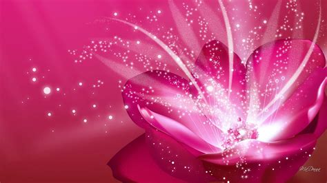 Bright Pink Wallpapers Top Free Bright Pink Backgrounds Wallpaperaccess