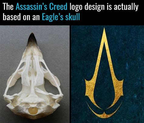 Assassins Creed Logo Eagle Skull Eagles Geek Stuff Logo Design Assassin S Creed Movie