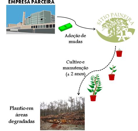 Como Podemos Conciliar Progresso E Conservação Ambiental