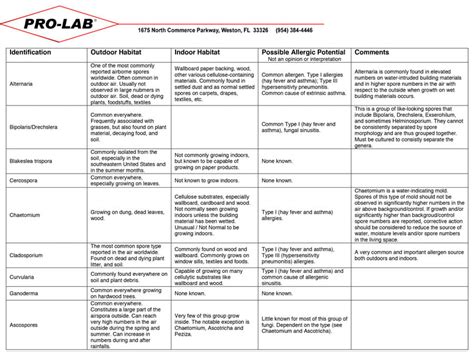 Mold Inspection Report Example 4 Sherlock Homes Property Inspections