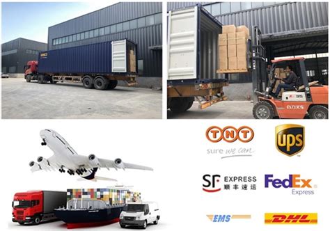 China Wire Body Shape Gold Metal Display Lingerie Bikini Swimwear Hangers Manufacture And