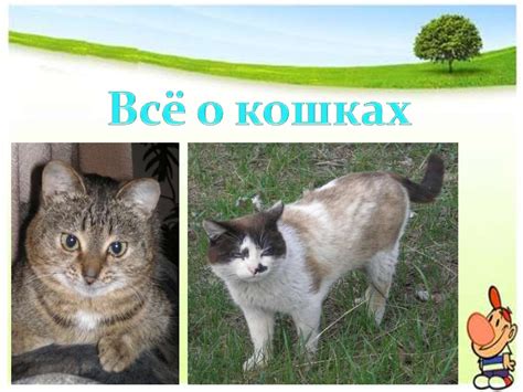 Мои домашние питомцы - презентация онлайн