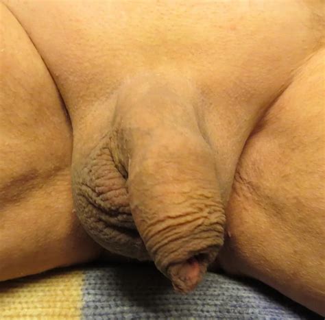 Schwanz Rasur Nude Pics XHamster