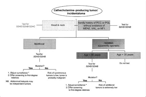 Decision Tree For Sdhd Sdhb Genetic Screening In Pheochromocytoma Pcc Download Scientific