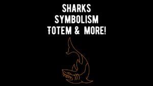 Sharks Symbolism: Mythology, Folklore, Totem and Spirit Animal - Shark
