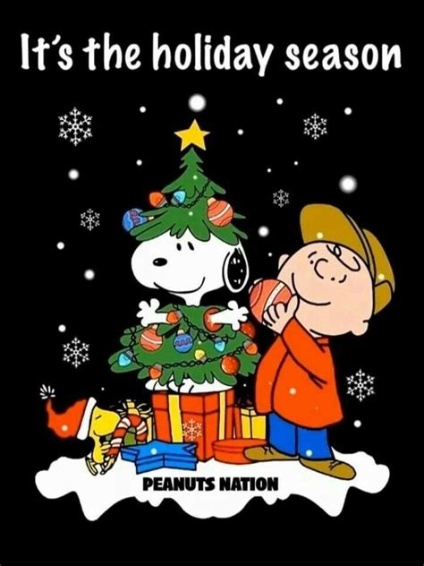 Pin By Dave Canistro On Charlie Brown Christmas Snoopy Christmas