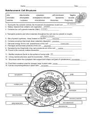 Kami Export Hailey Mims Reinforcement Cell Structures Pdf Name